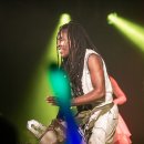 라퍼커션 이미지