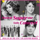 뮤지컬 슈퍼 스타 갈라 콘서트 이미지