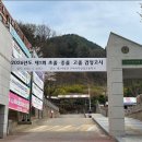 1175 한스경제