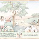 슬픔을 치료해주는 비밀책 이미지