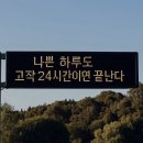 사라지는 꿈을 꾸곤 해