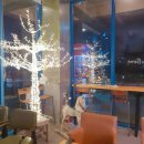 카페베네은파호수점 이미지