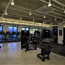 루다피티 이미지