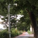 신천체육공원 테니스장 이미지