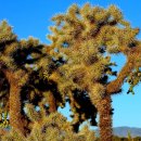 전라북도교육청 이미지