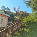 허브아일랜드 아테네홀 이미지