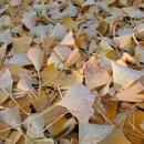 세계 그림책 문학기행 이미지