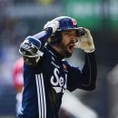 정사장네 갈매기 이미지