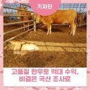 범일농장 이미지