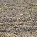 달창농장 이미지