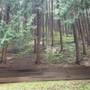 진안군청 화장실 | 진안 부귀 편백숲 산림욕장 왜 좋았나?