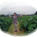 경주농장 이미지
