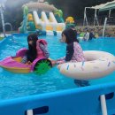 봉식이놀이터 이미지