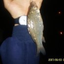 황산가든 이미지