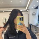 에이바헤어병점역점 | 병점역미용실 에이바헤어 병점역점 톤다운염색 후기 (with 정원디자이너)