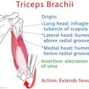 라이프 피트니스 이미지