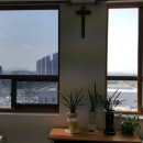 청주성모병원 이미지