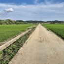 갈현사거리 이미지