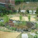 장락초등학교 이미지