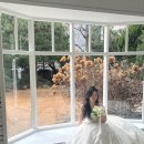 12-A | W11. 소피소 스튜디오 - 웨딩촬영 A타입 12월 겨울 촬영 후기!