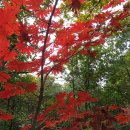 청도군-17 이미지