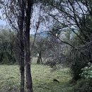 광나루공원 | [서울 테니스장] 광나루한강공원테니스장 이용후기 (비용, 주차, 예약)