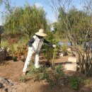 거창가든 이미지