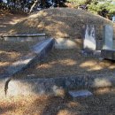 삼한국대부인순흥안씨묘 이미지