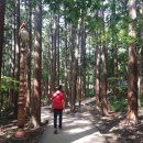 동아대학교대신병원 이미지