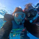 마켓오브마리 | 하와이 오아후 일일투어 총정리｜렌트 없이 신혼여행 중 직접 이용한 투어 추천 &amp; 예약 방법