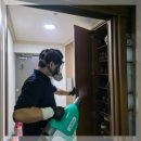 미래방역 | 해충 걱정 없는 쾌적한 집 만들기 순천방역 미래클린 후기