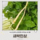서신식품 이미지