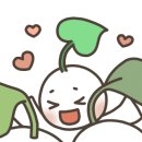 플랜유앤