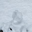 데굴데굴 이미지