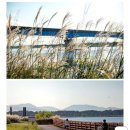 갈맷길(6-1구간) 이미지