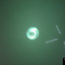 하나특수광택 이미지