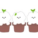 슬로울리 이미지
