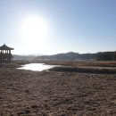 평해사구습지 이미지