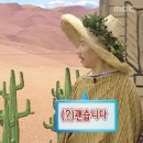 호텔양양놀자 네이버블로그