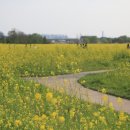 산동교 친수공원 축구장 이미지