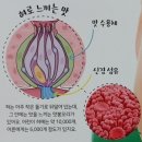 하얼빈마라탕 이미지