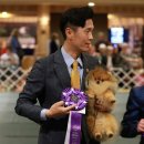 바론켄넬 이미지