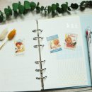 다이어리 이미지