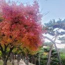 흥덕사 | 청주흥덕사지 흥덕사 직지심체요절