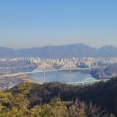 파란행정사 이미지