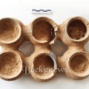 수촌리 고분군 이미지