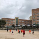 명촌초등학교 이미지