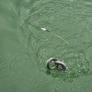 은현피싱타운 이미지