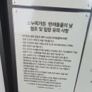 오아시스 | 제주 스누피가든 할인 굿즈 기념품 카페 입장료 시간 양산 필수 쪄죽음