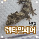 &#39;창원 K렙타일페어&#39; 솔직후기